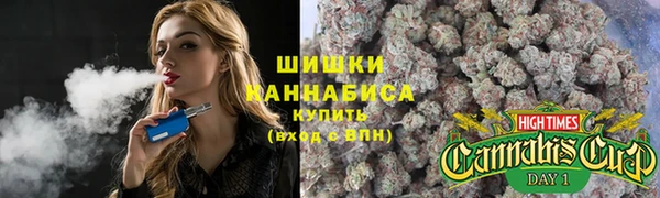 PSILOCYBIN Балахна