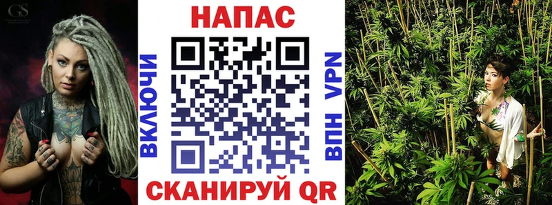 Канабис план  Барыш 